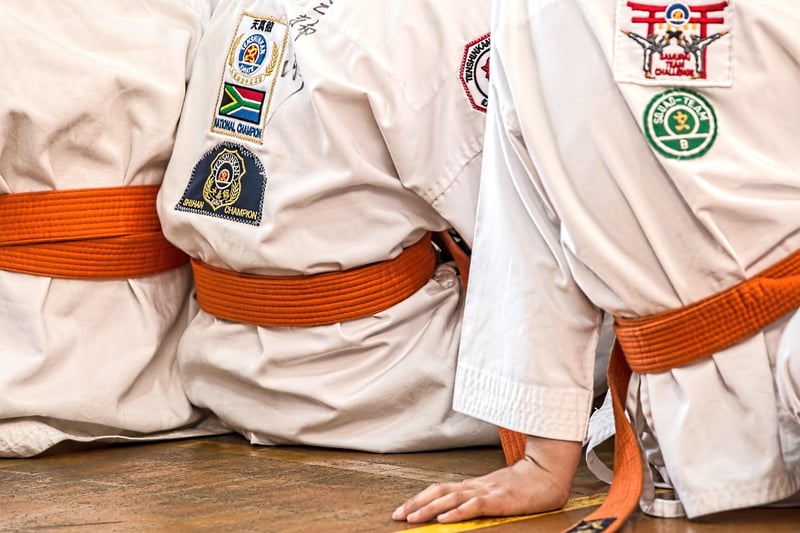Judo Image